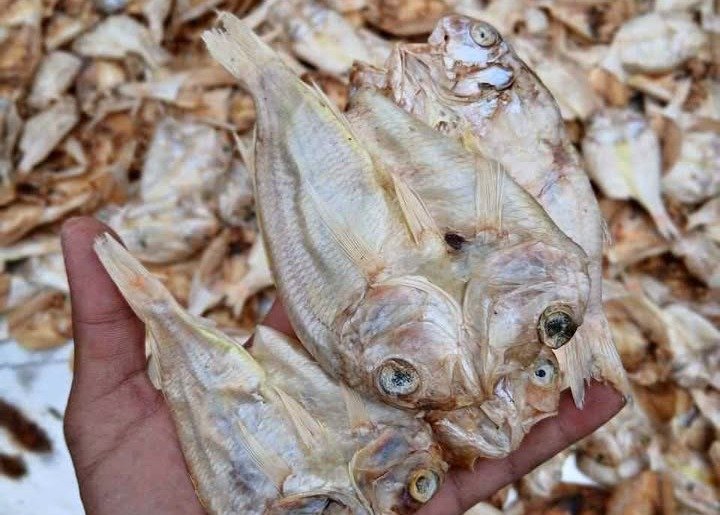 IKAN ASIN KERISI