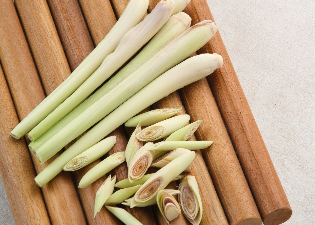 PT DAYA ABADI GRUP - SPICES 2