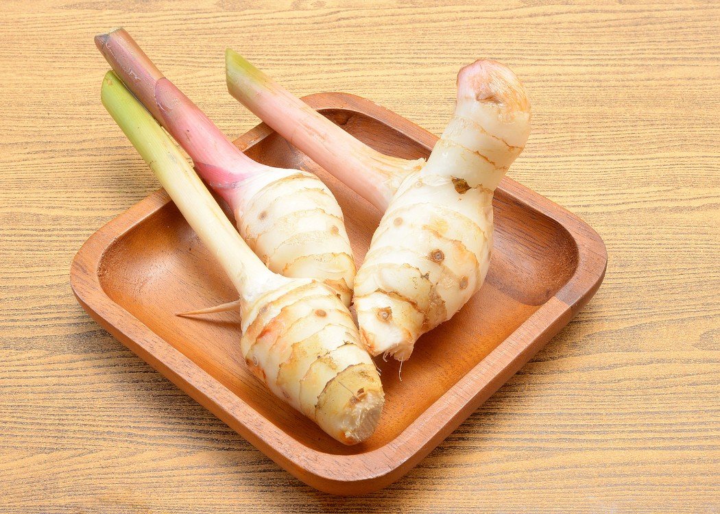 PT DAYA ABADI GRUP - SPICES 6